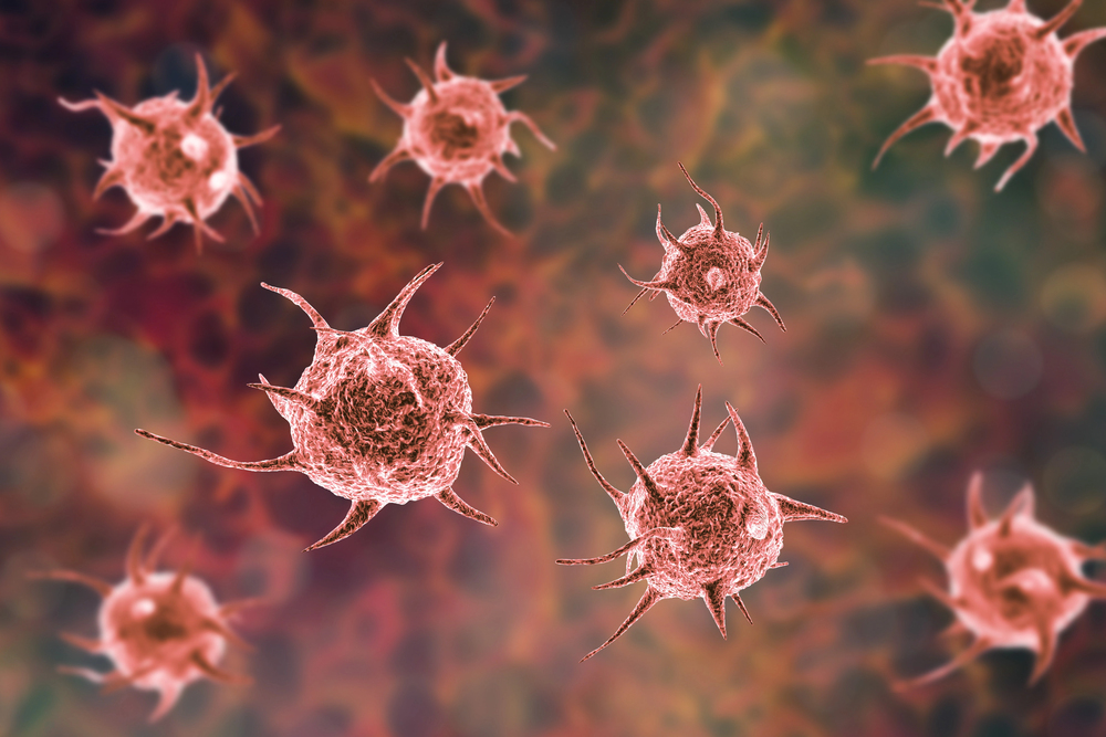 Hirnfressende Amöben breiten sich aus – Experten warnen vor wachsender Gefahr