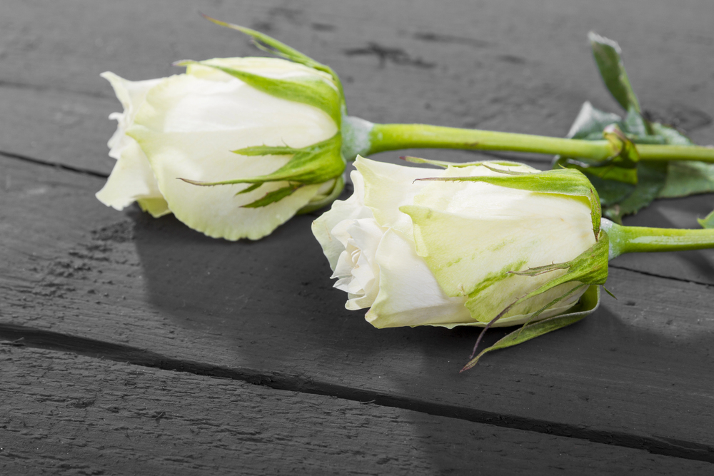 ESC-Sängerin Helen Micallef ist tot – Malta trauert um Musiklegende