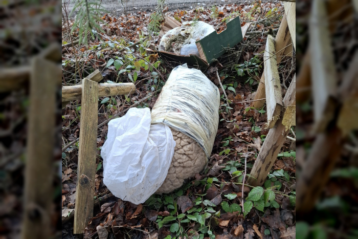 Ingoldingen: Tierabfälle am Waldrand entsorgt