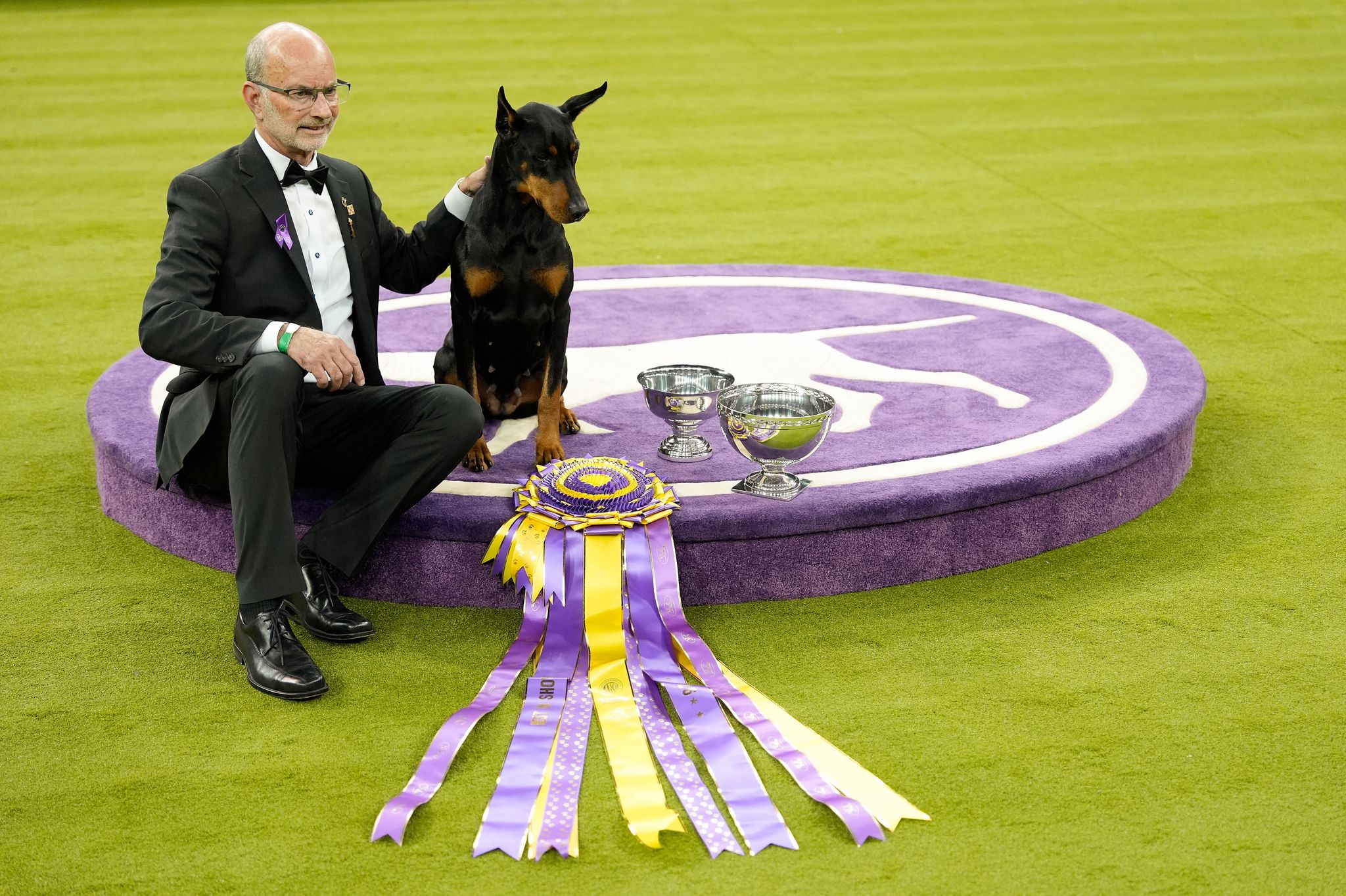Dobermann «Penny» gewinnt 150. Westminster-Hundeshow in USA
