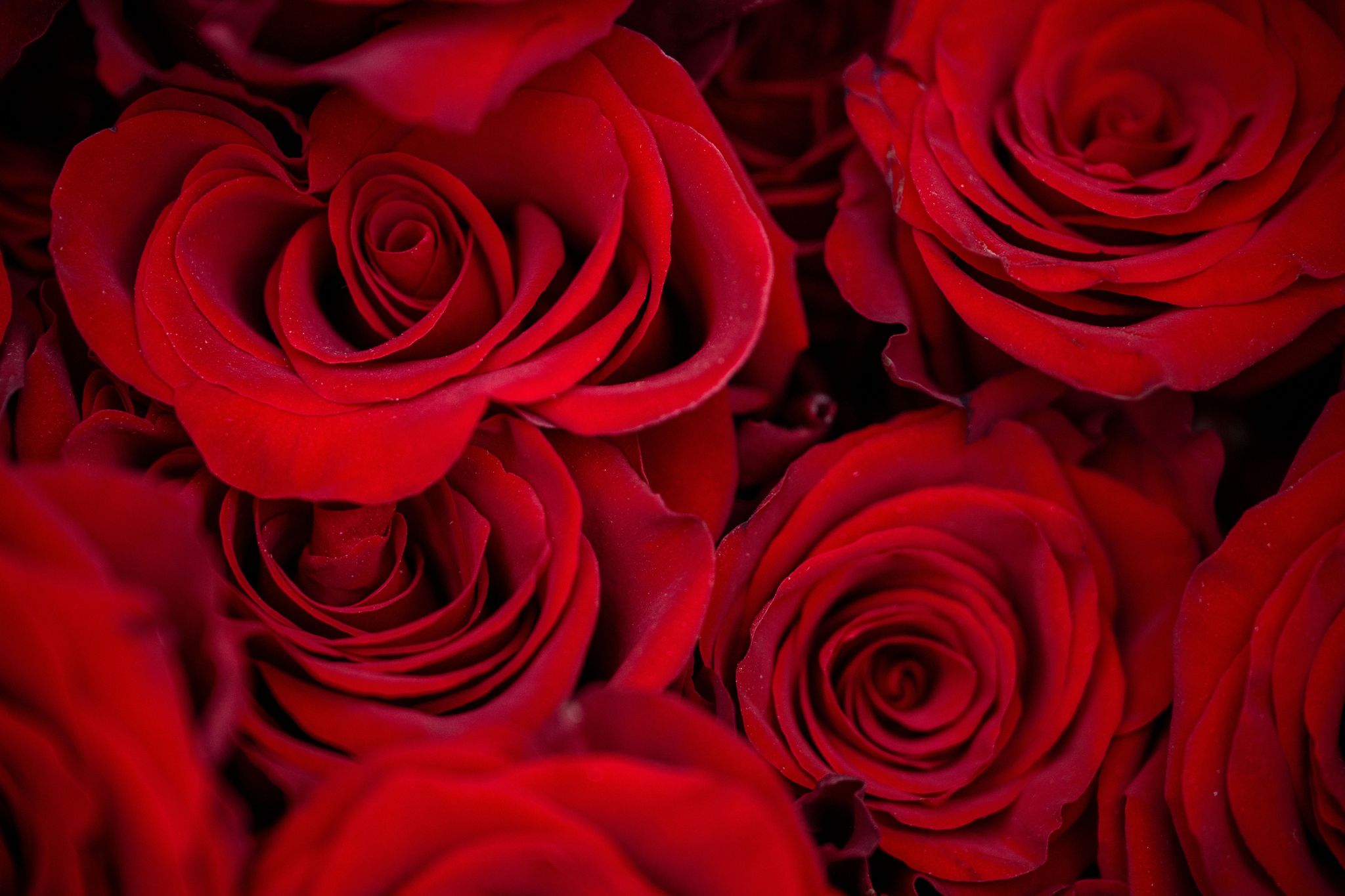 Valentinstagsumsätze in Deutschland sinken, trotz beliebter Geschenke