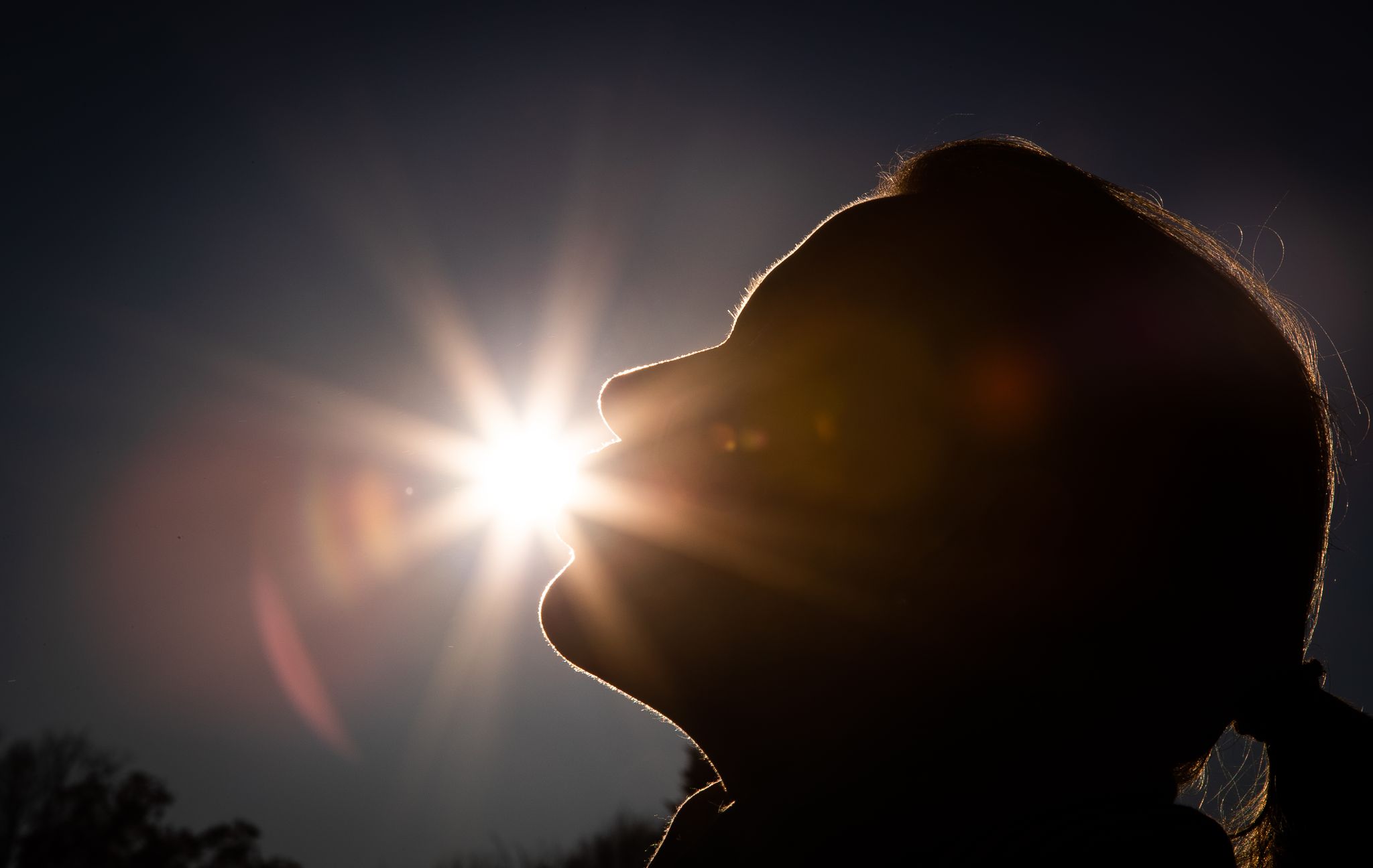 Vitamin D: Sinnvoll oder nur ein Hype?