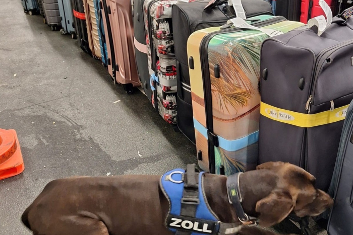 Frankfurt am Main: 83 Kilogramm Kokain durch Frankfurter Flughafenzoll beschlagnahmt