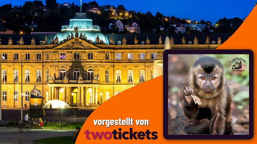 Zoos & Tierparks in Schwaigern am 22.02.26: Erlebnisführung für Familien!