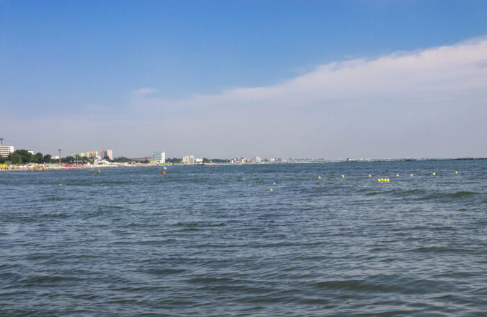 Er schwimmt Richtung offenes Meer: Frei! Wal in Lübecker Bucht gesichtet