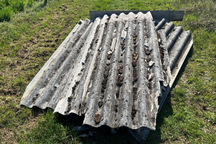 Illegale Abfallbeseitigung in Edenkoben