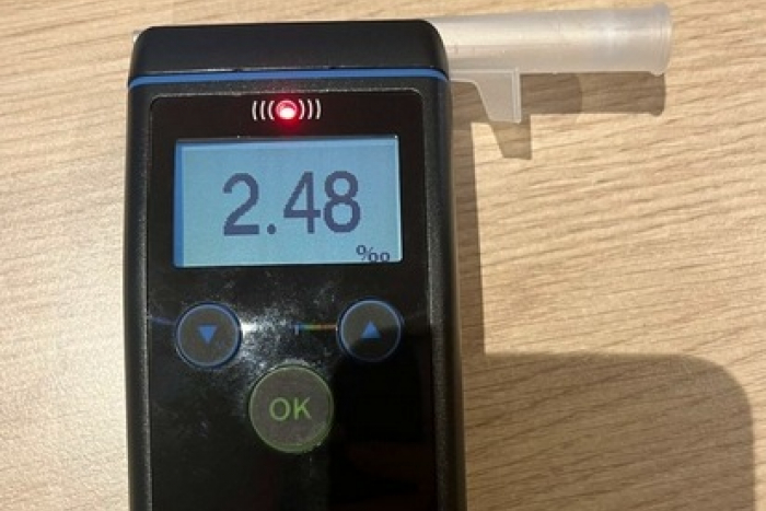 Elmshorn: Verhaftung gesuchter Mann; Mann im Zug leistet Widerstand