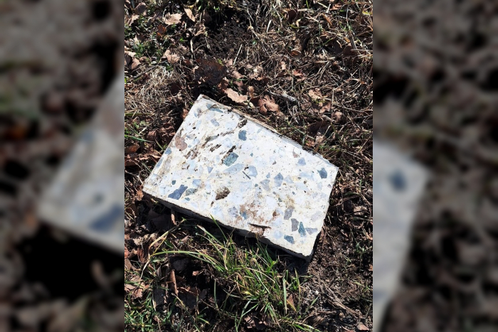 Unerlaubte Abfallentsorgung in Oldenburg in Holstein