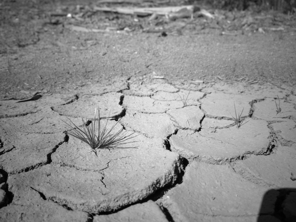 La Niña im Anmarsch: Klimaphänomen könnte 2026 neue Hitzerekorde bringen