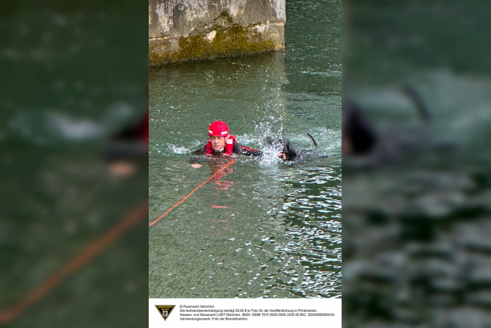 München: Vier Pfoten auf Abwegen