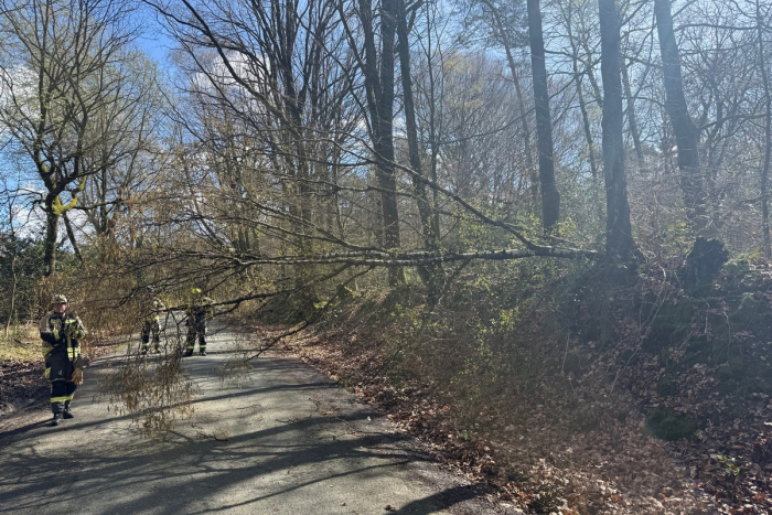 Hünxe: Verkehrsstörung durch umgestürzten Baum