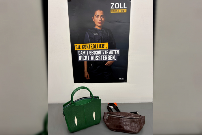 Konstanz: ZOLL beschlagnahmt Handtaschen aus geschütztem Leder