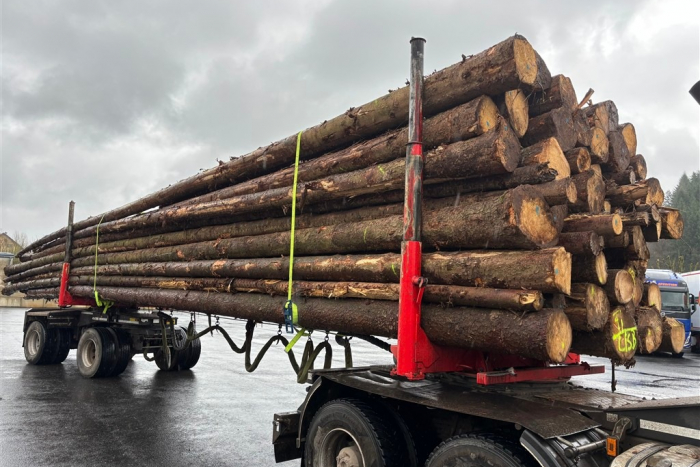 Trier: Langholztransport überladen – Genehmigungen eingezogen