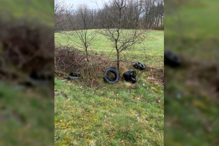 Illegale Müllentsorgung in Eckersweiler