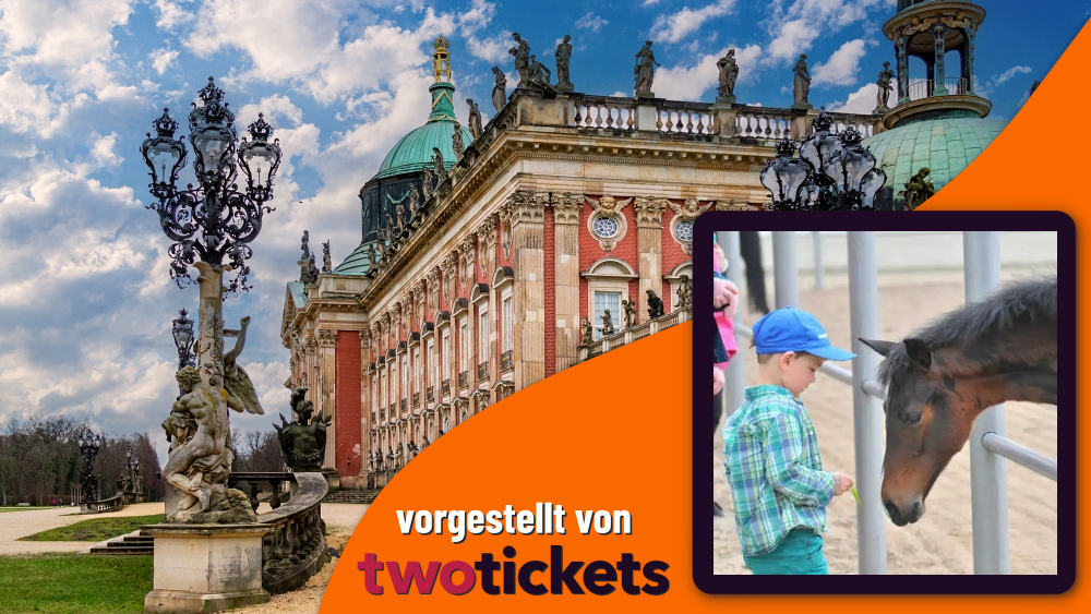 Mensch & Tier in Neustadt am 02.05.26: Fohlenfrühling