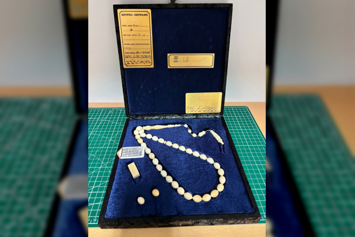 Tag des Artenschutzes am 3. März: Erfolgreiche Zollkontrolle am Flughafen Saarbrücken