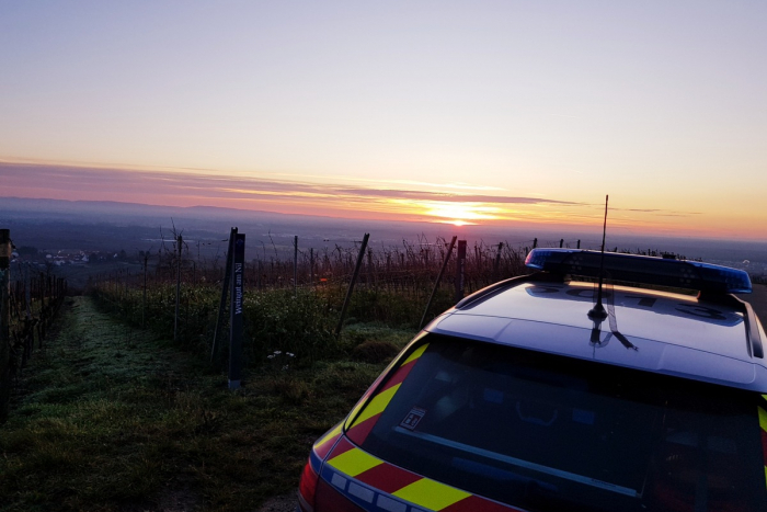 Einbrüche in Wattenheim