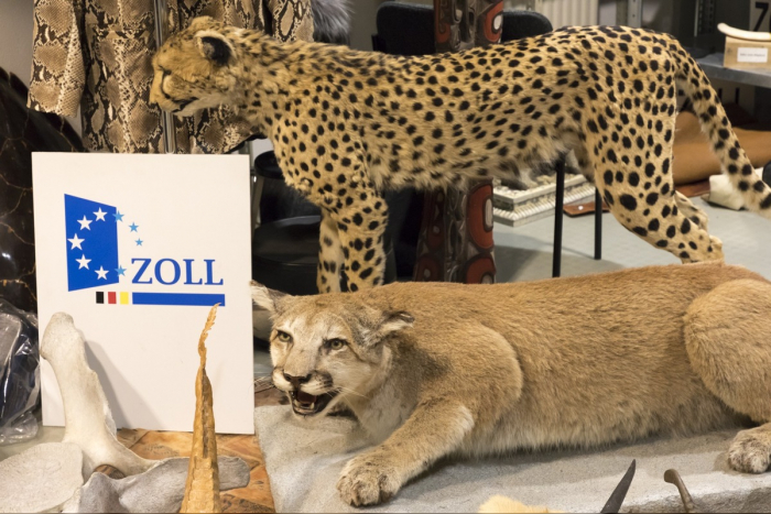 Magdeburg: Tag des Artenschutzes