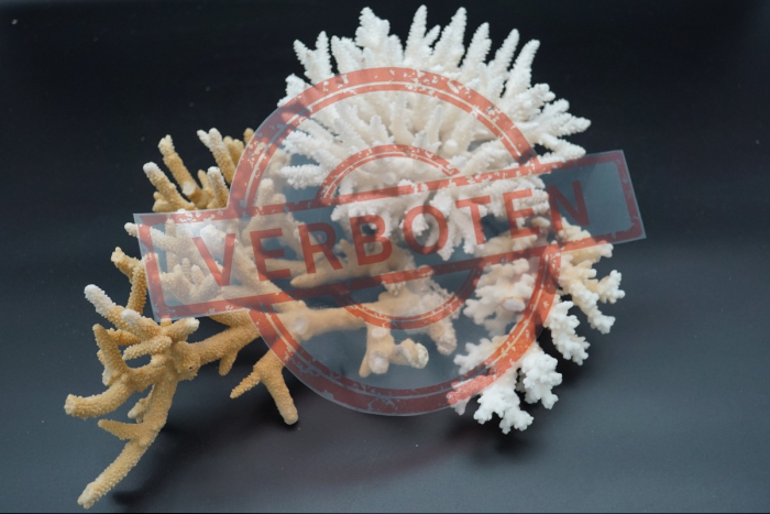 Augsburg: Zoll hilft bedrohte Tiere und Pflanzen zu schützen