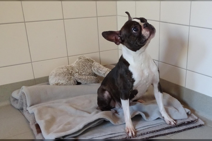 Mölln: Polizei bittet um Hinweise