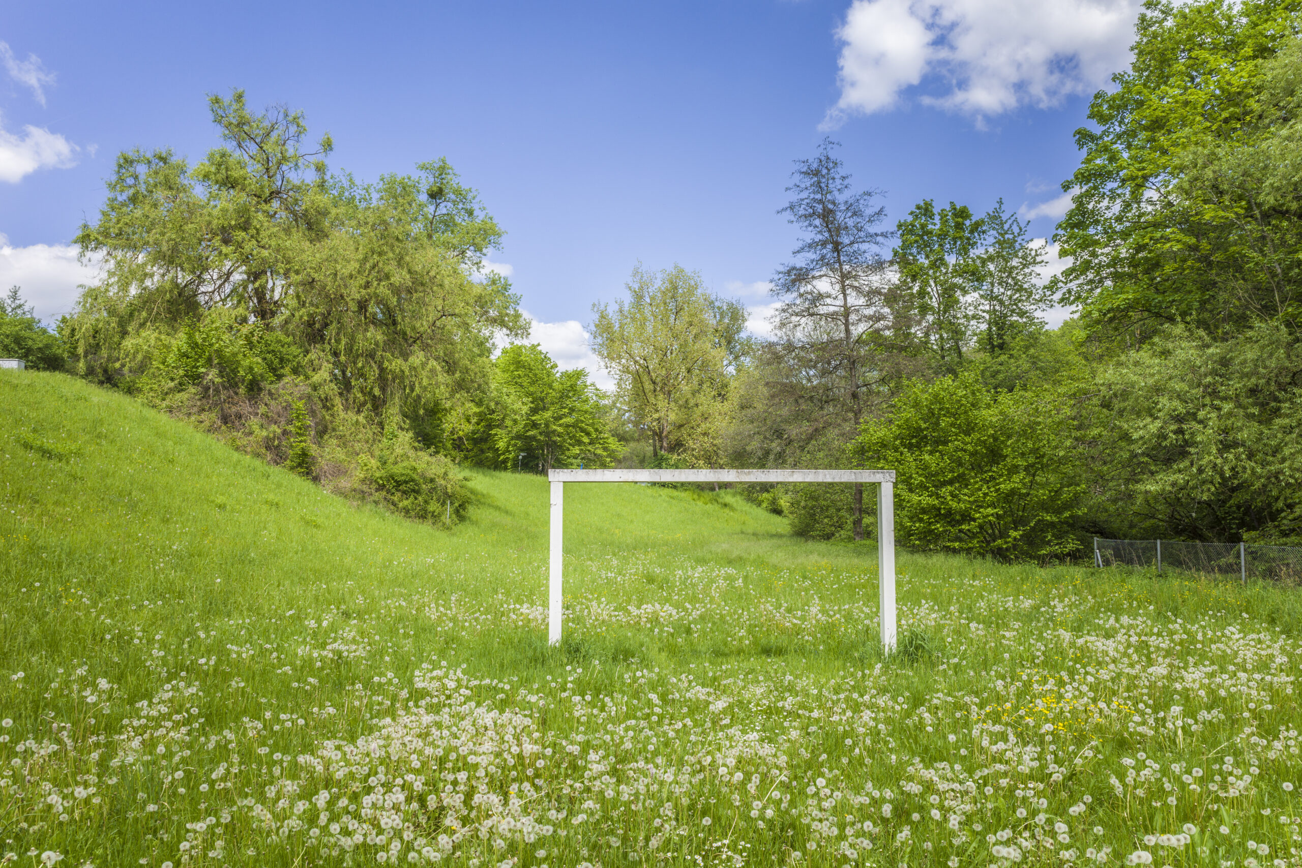 Erlangen: Tragisches Fußballtor-Drama endet tödlich für ein Kind
