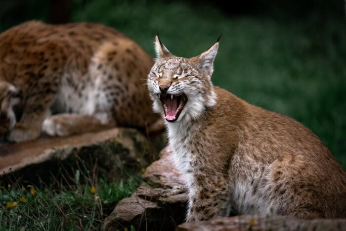 Wettervorhersage für Dortmund am 20. April 2026