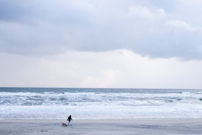Wettervorhersage für Frankfurt am Main am 27. April 2026
