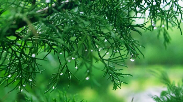 Wettervorhersage für Essen am 3. April 2026