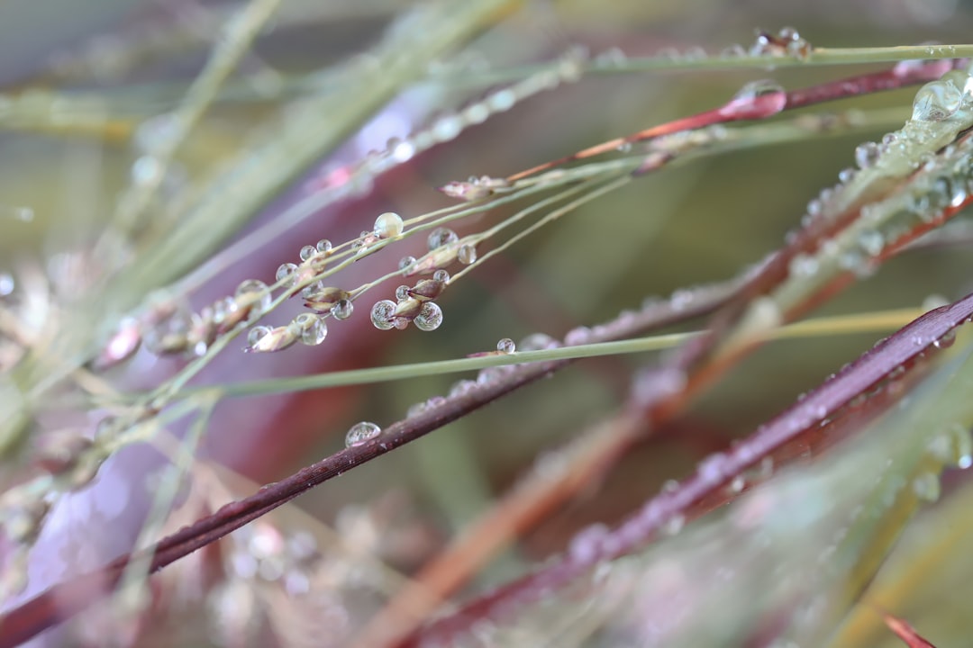Wettervorhersage für Köln am 2. April 2026