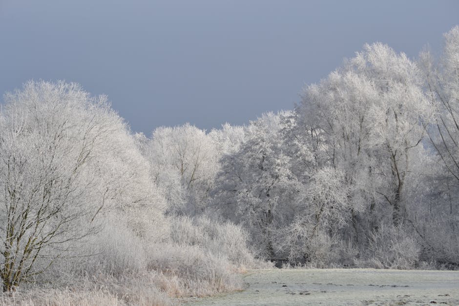 Dresdner Skifahrer stirbt nach Schneeabbruch in Sölden