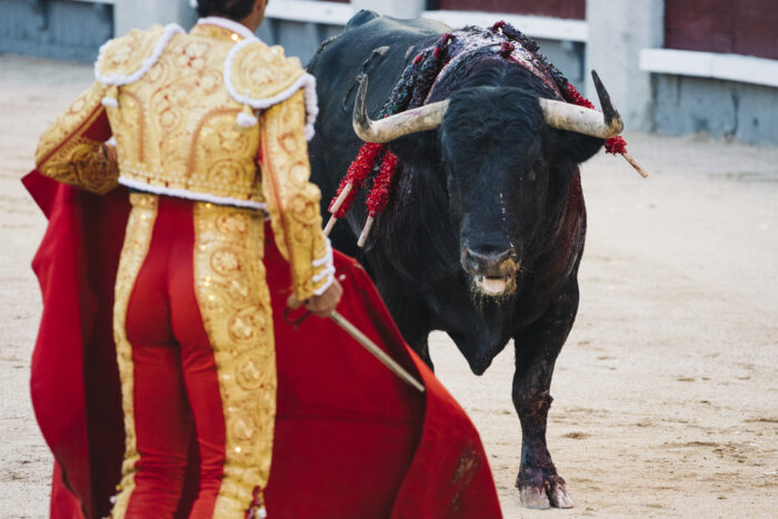 Notoperation am Gesäß: Stier durchbohrt Enddarm eines berühmten Matadors in Spanien