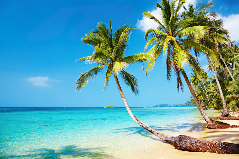 Was macht Isla Pasión zum attraktivsten Strand der Welt?