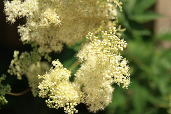 Wettervorhersage für Dresden am 21. April 2026