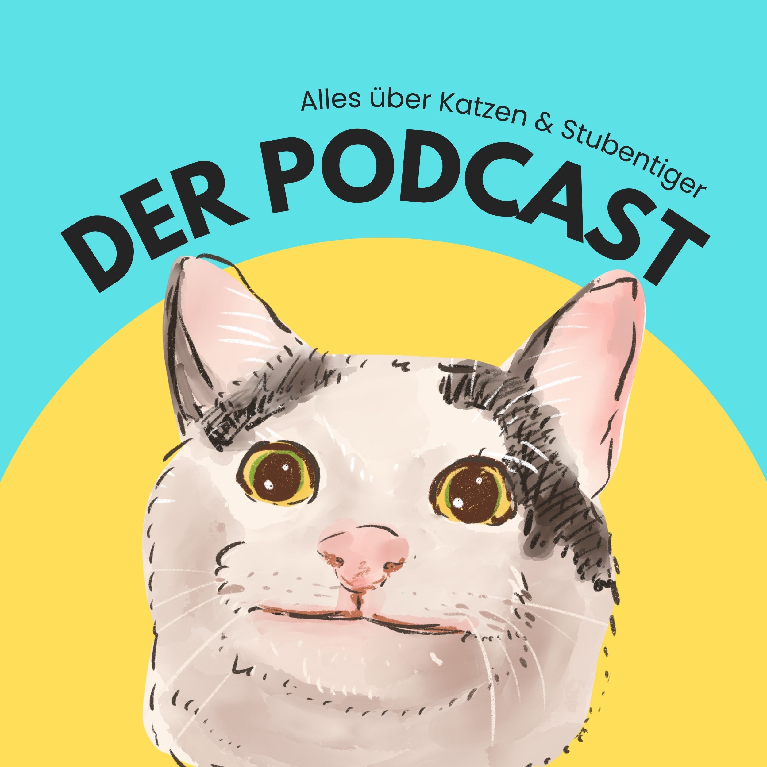 Vorgestellt: Alles über Katzen und Stubentiger – der Podcast