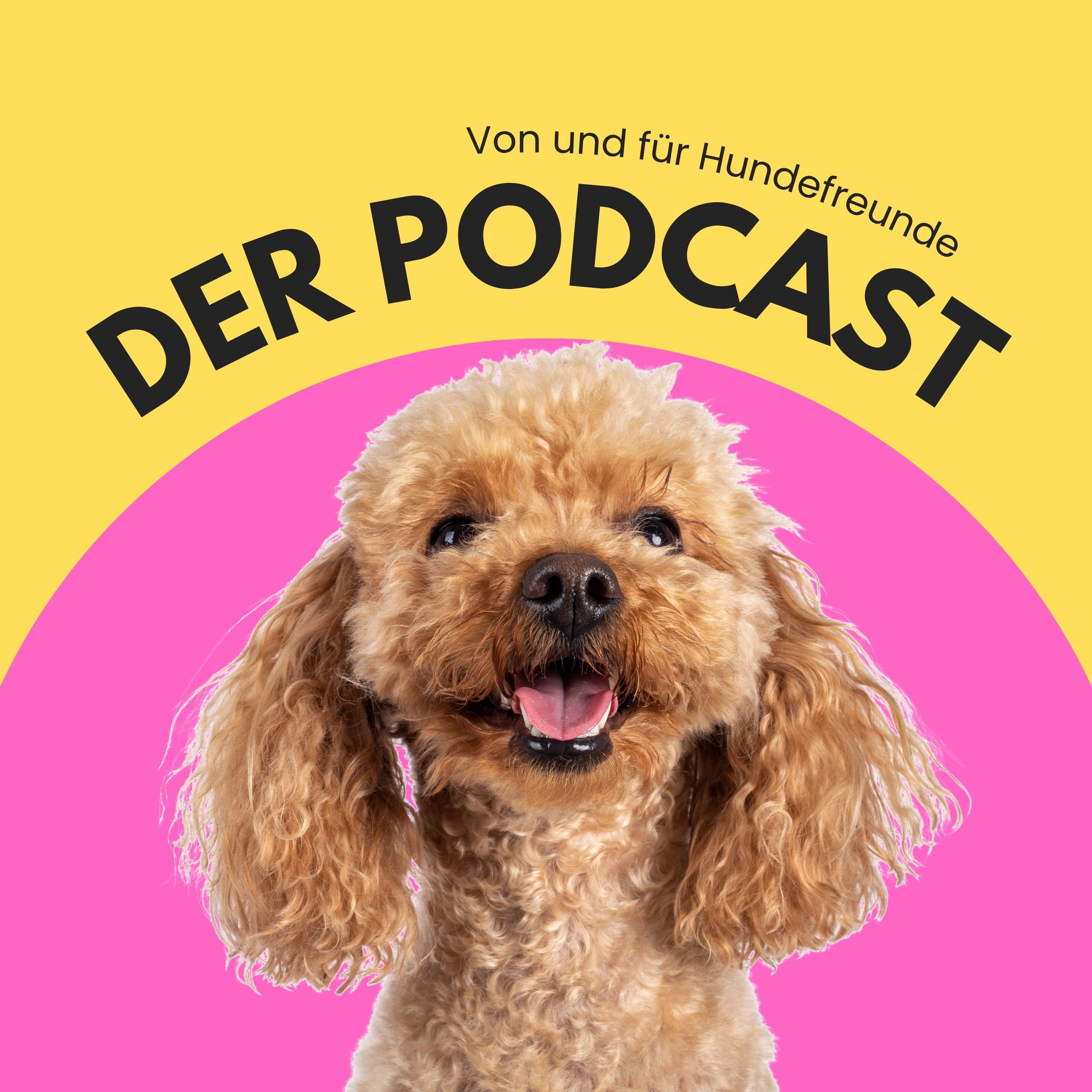 Vorgestellt: Von und für Hundefreunde – der Podcast