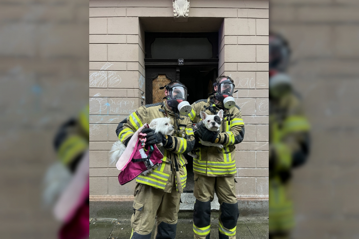 Brand in Bremerhaven-Lehe, Feuerwehr bekämpft Kellerbrand in Mehrfamilienhaus, mehrere Verletzte evakuiert.