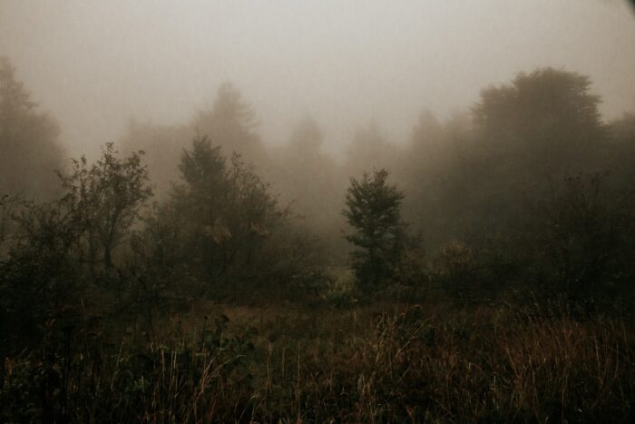 Wettervorhersage für Leipzig am 21. April 2026: Nebel und Regen möglich