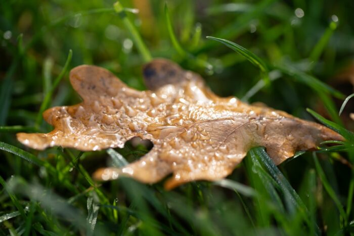 Wettervorhersage für Bremen am 30. April 2026