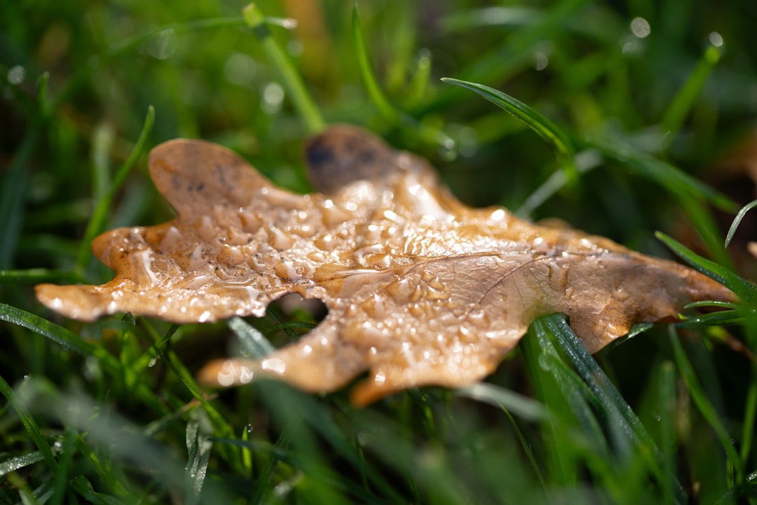 Wettervorhersage für Bremen am 30. April 2026