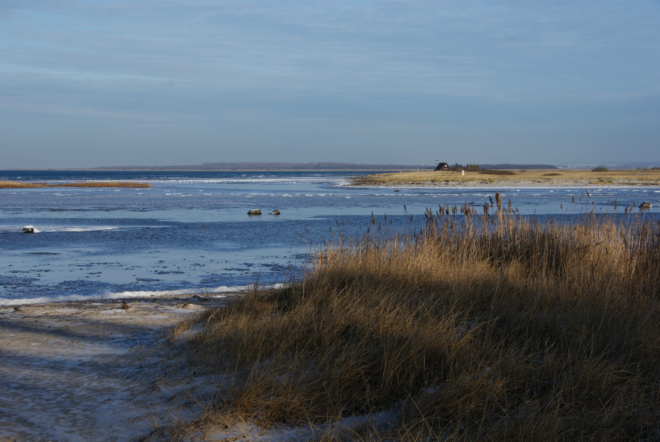 Live-Ticker: Ostsee-Drama: Buckelwal in der Wismar-Bucht