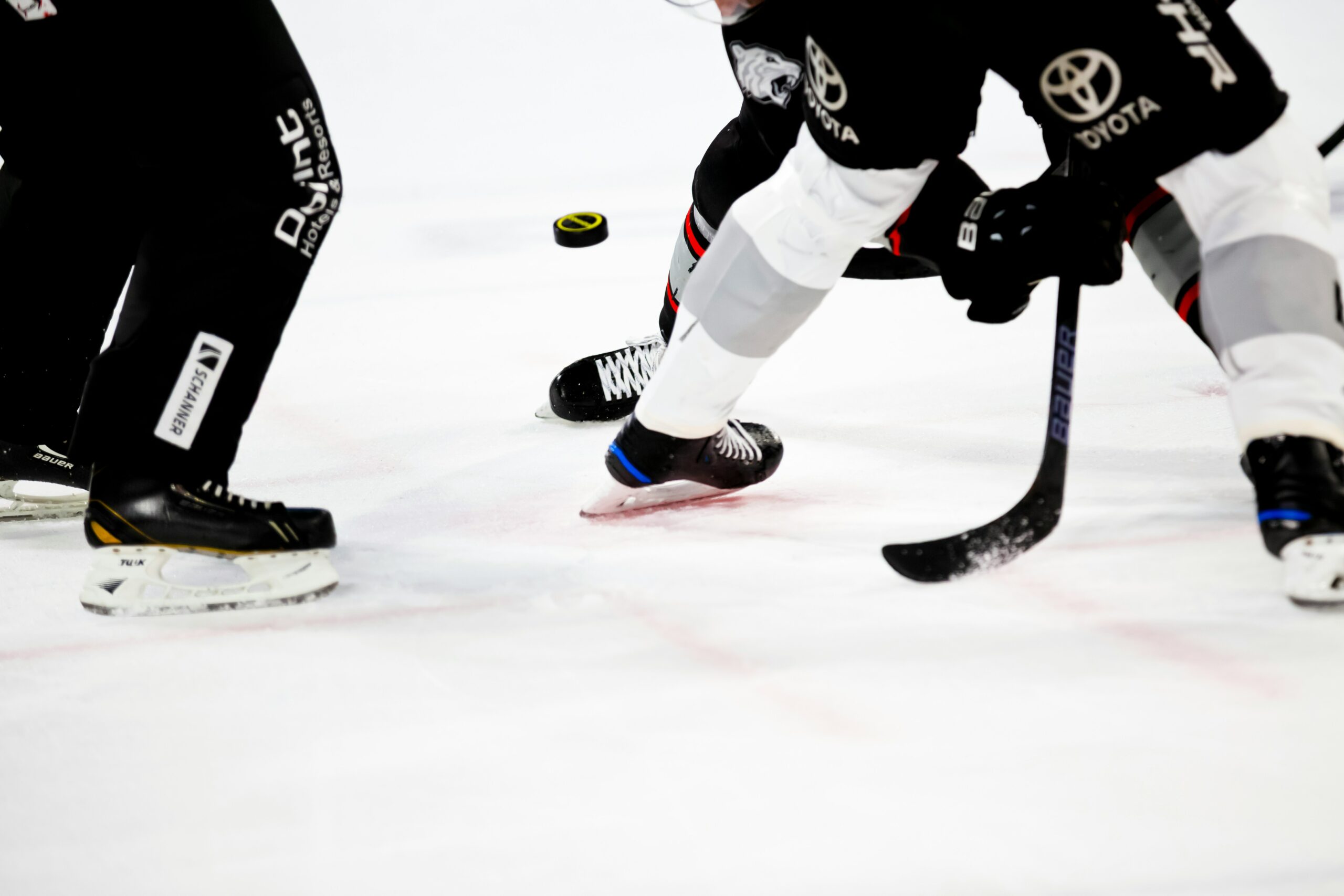 Kölner Haie gewinnen deutlich gegen Eisbären Berlin im Halbfinale