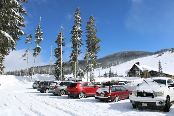 Wetter in Leipzig heute: Sonnig bei 15°C