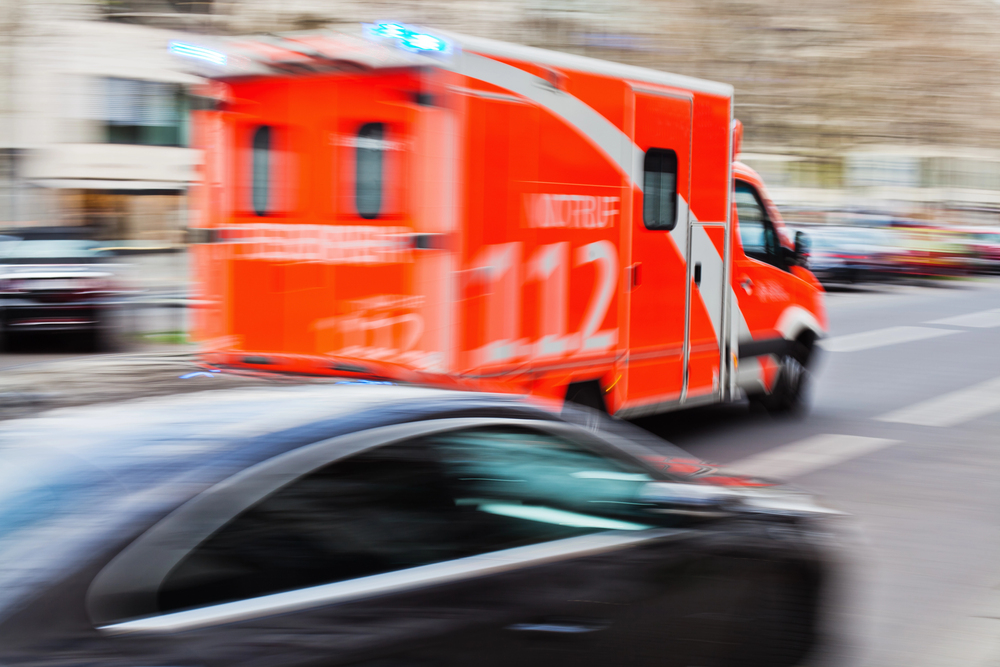 Baum-Drama in Berlin: Ast kracht auf Picknickgruppe! 6 Verletzte