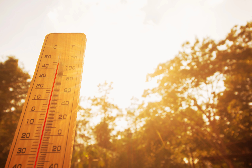Schüler kämpfen gegen Gefahren extremer 54 Grad Hitze in Frankreich