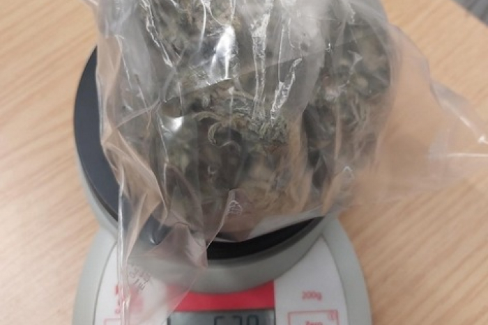 Flensburg: Polizei stellt Marihuana am Bahnhof sicher