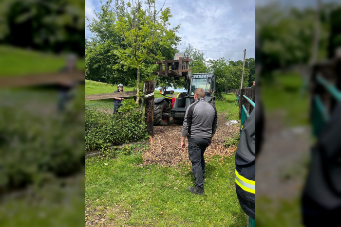 Langenberg: Pferd gerettet nach misslicher Lage