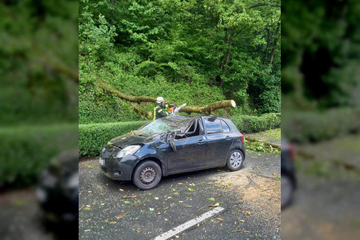 Massiver Baum stürzt auf Pkw in Herdecke