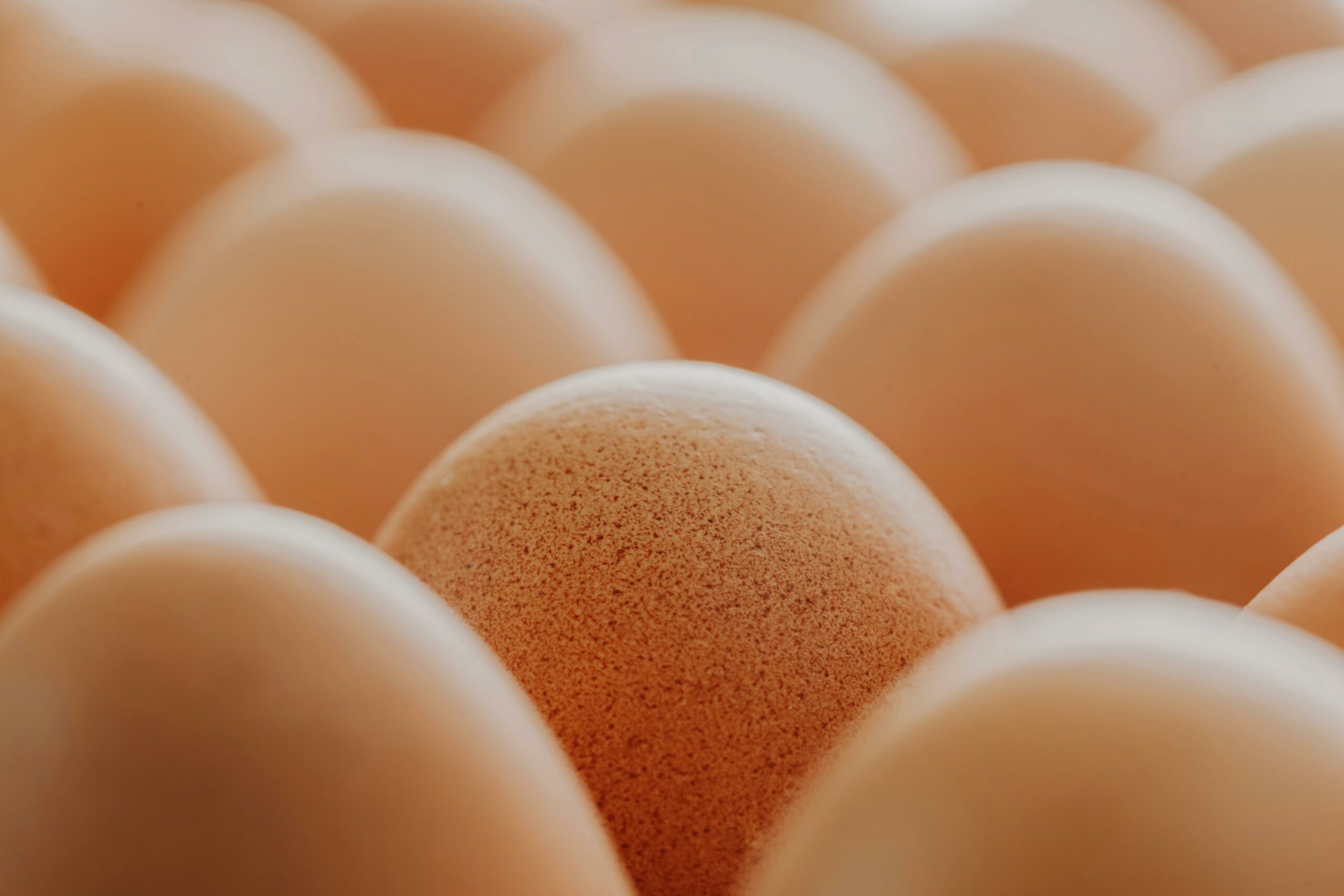 Eier sollen vor Demenz schützen, doch Studie hat Haken