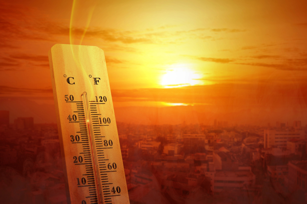 Hitzewelle in Westeuropa: Rekordtemperaturen und aktive Maßnahmen zur Bewältigung
