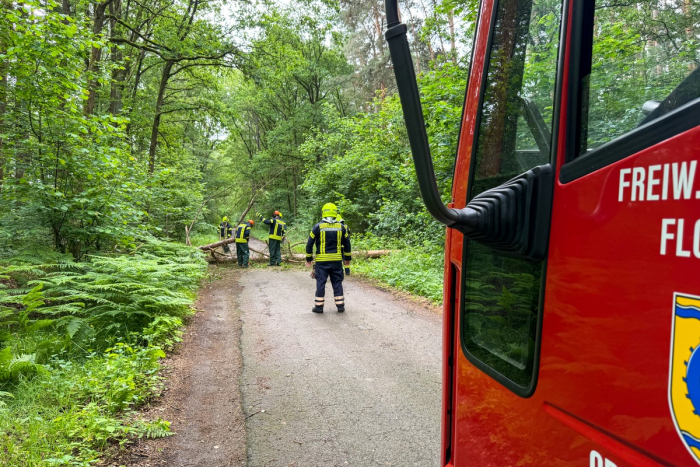 Feuerwehren der Samtgemeinde Flotwedel bei technischen Hilfeleistungen